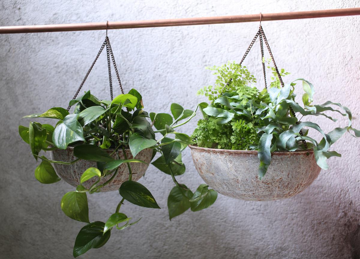 Hanging Planter Home Decor