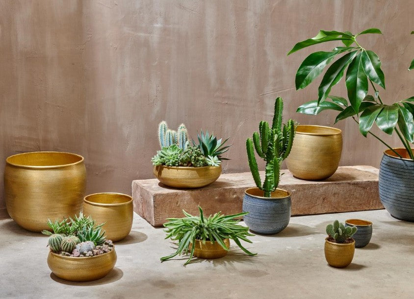 Tembesi Etched Planter - Antique Brass
