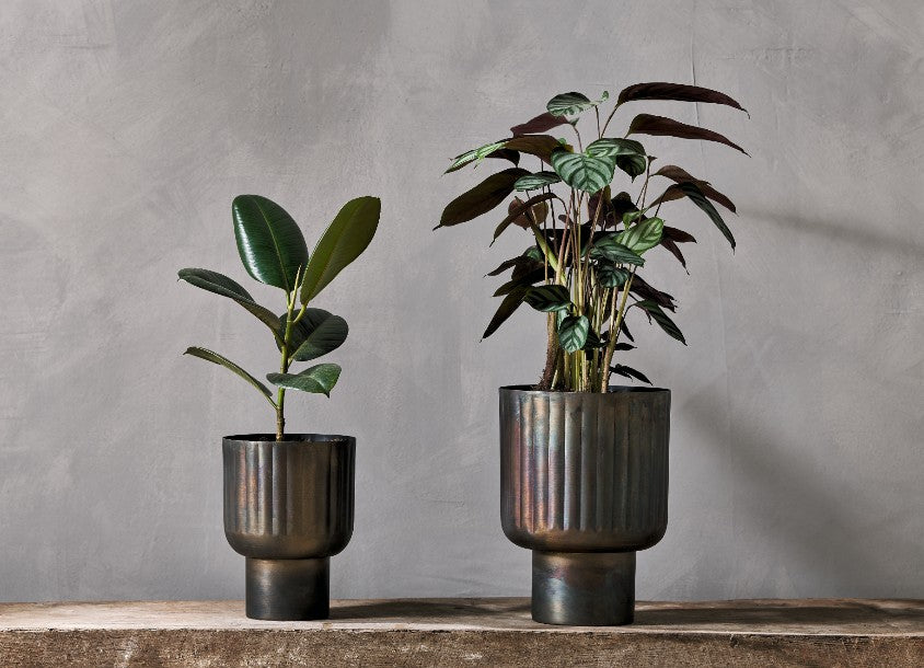 Planter Home Decor