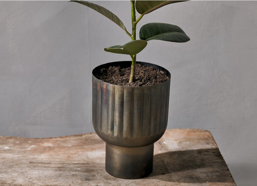 Dasalla Planter - Aged Brass