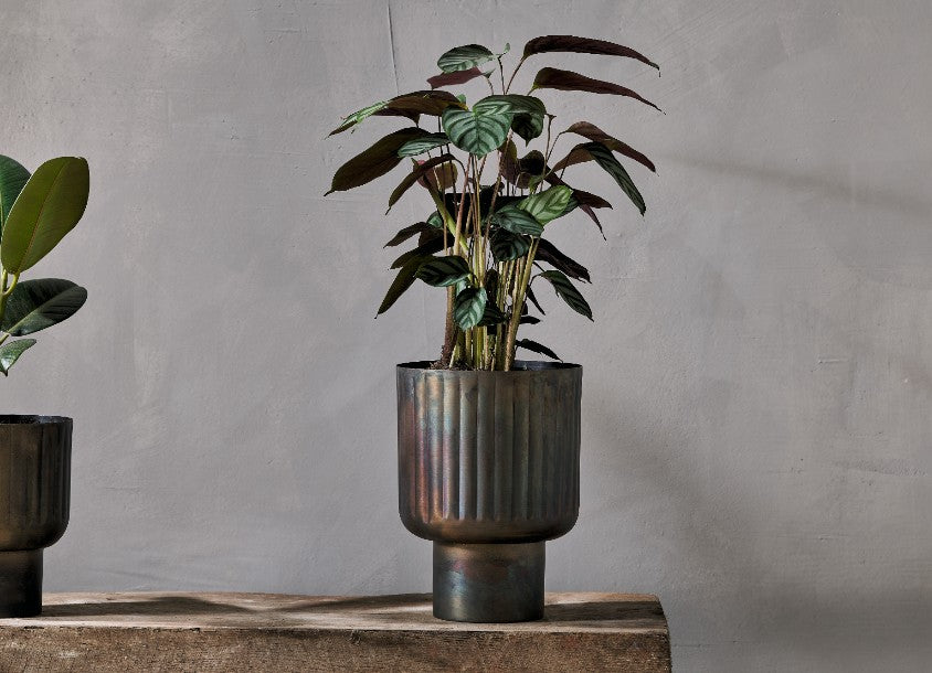 Planter Door Hardware