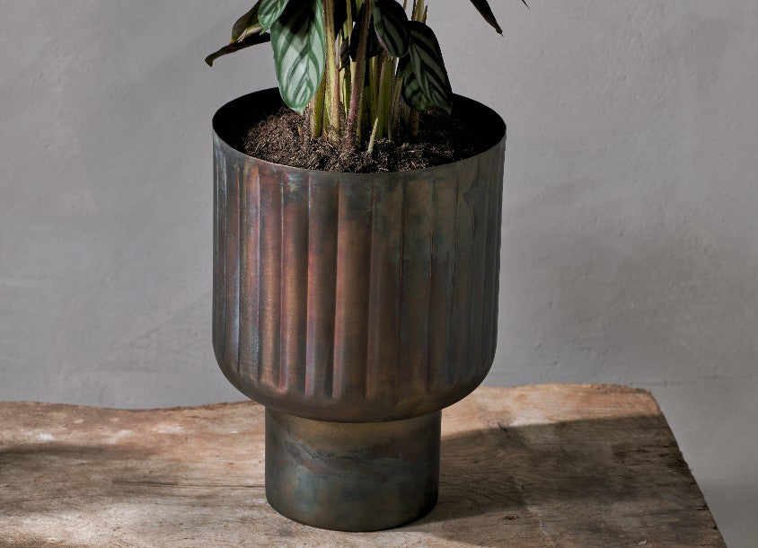 Dasalla Planter - Aged Brass