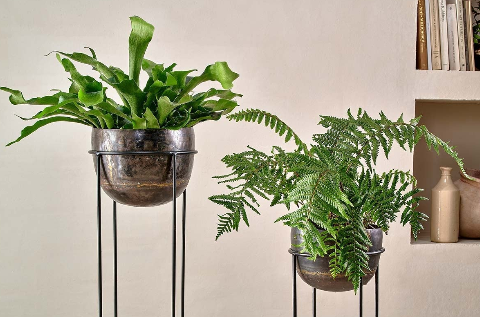 Endo Reclaimed Iron Planter Stand