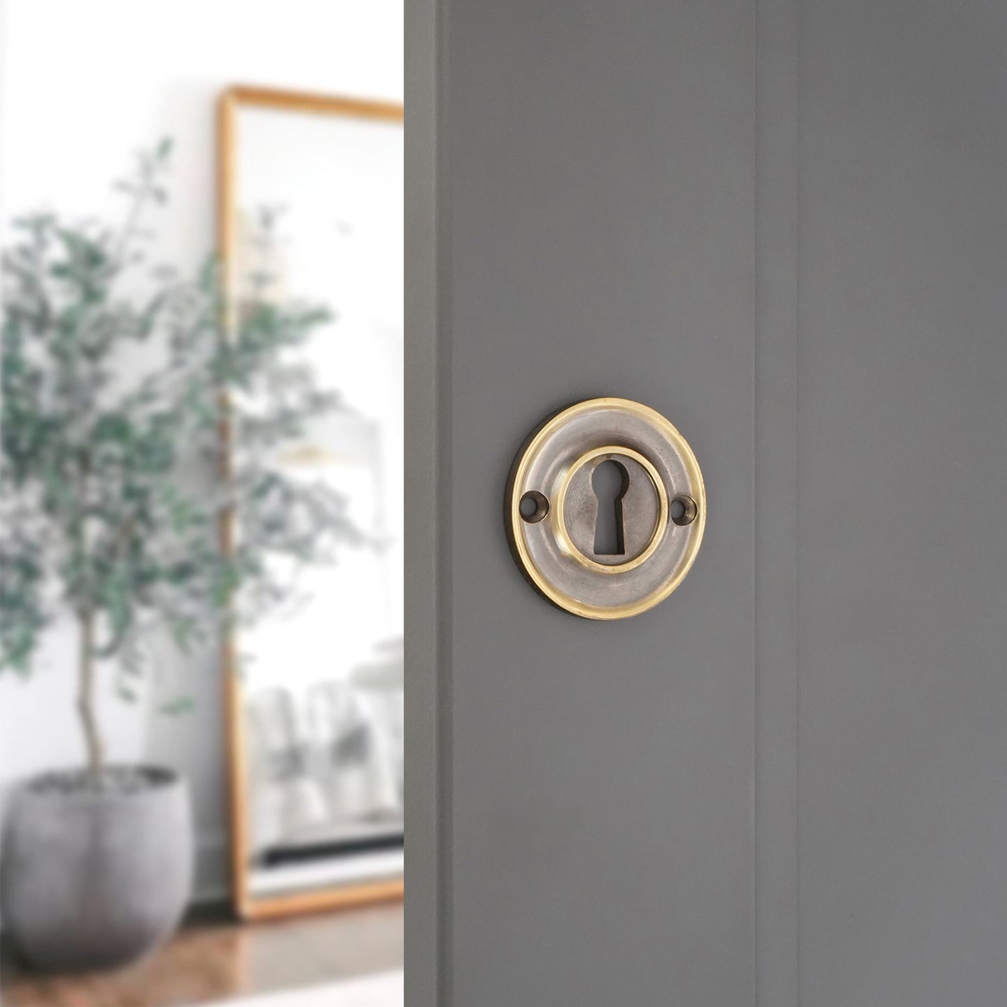Slimline Standard Escutcheon Aged Brass