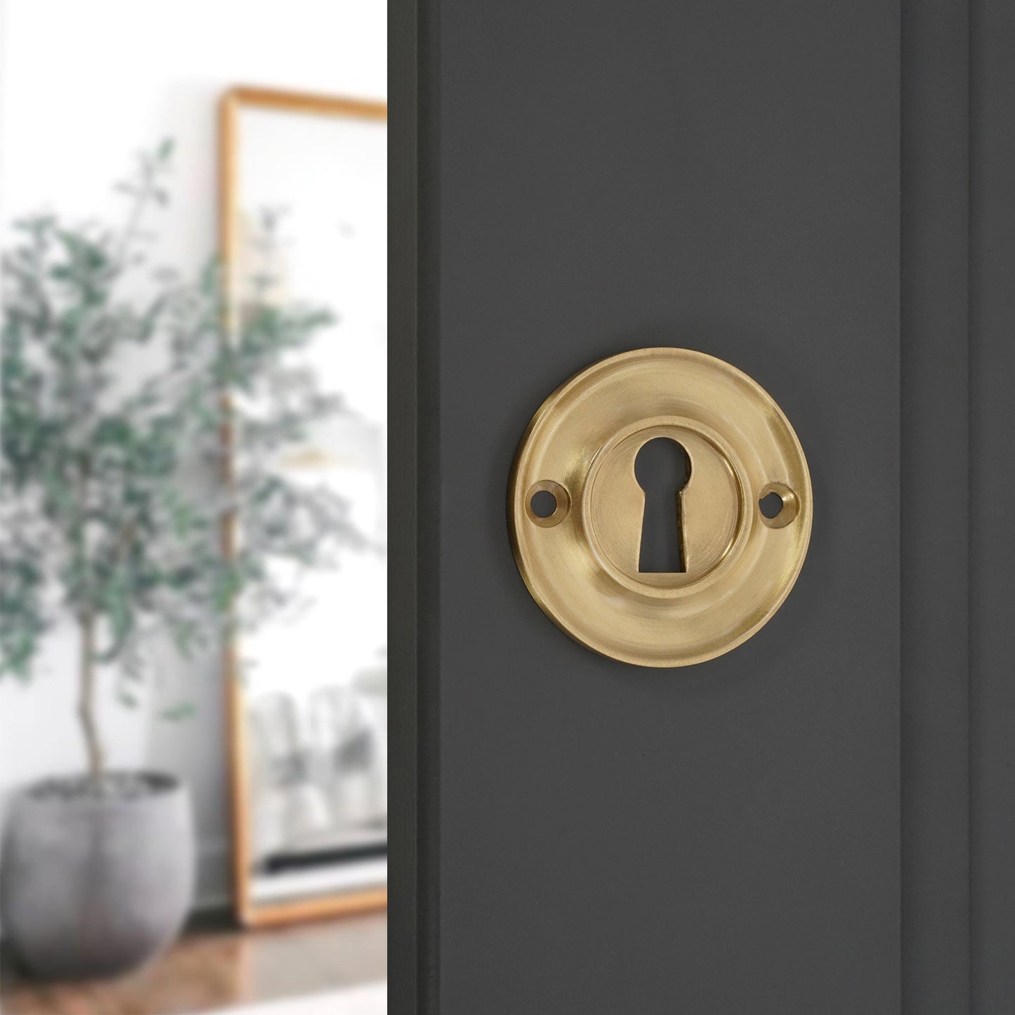 Slimline Standard Escutcheon Satin Brass