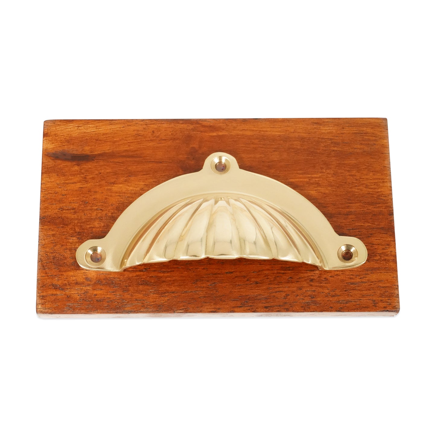 Shell Cup Pull Polished Brass