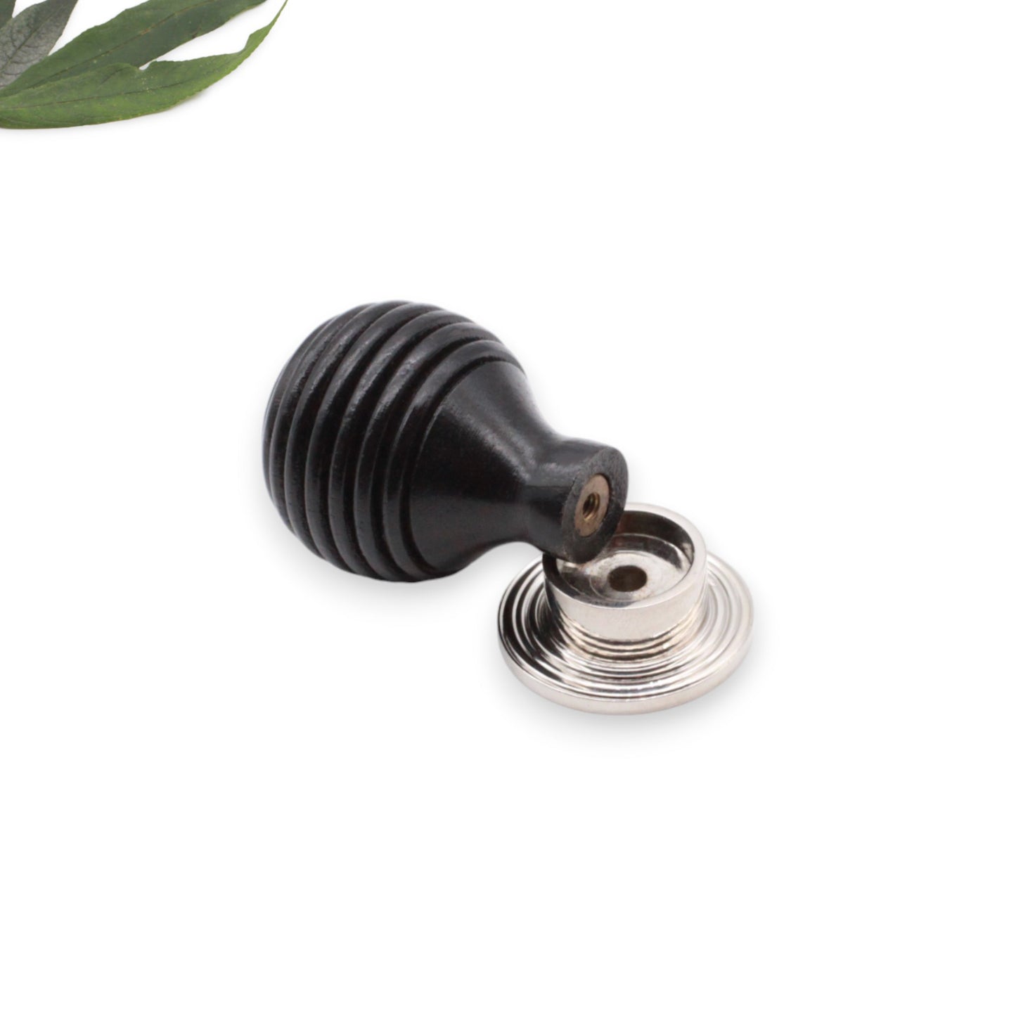 Ebonisierter Preston kleiner Schrankknopf, poliertes Nickel