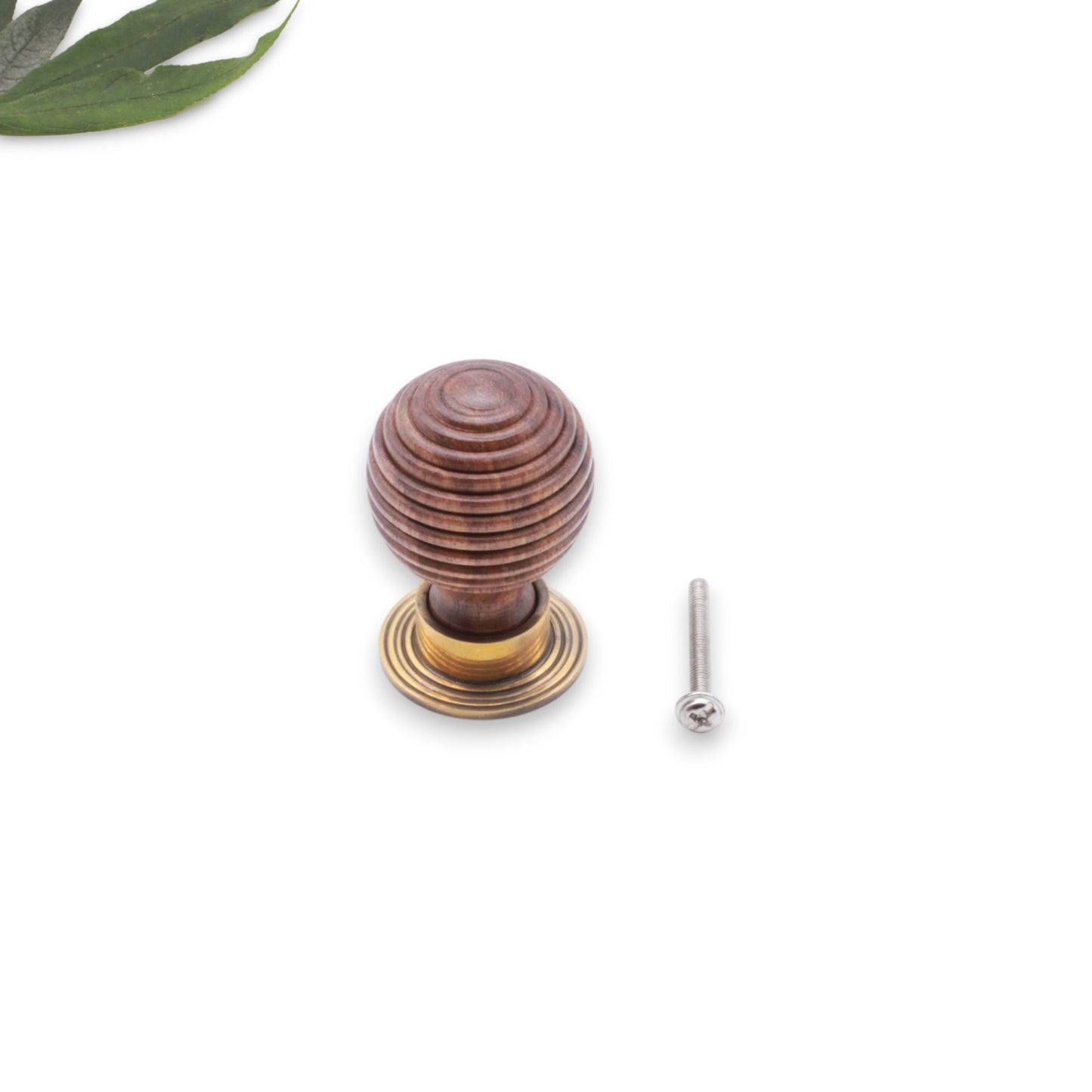 Rosewood Preston Grand bouton de placard en laiton vieilli