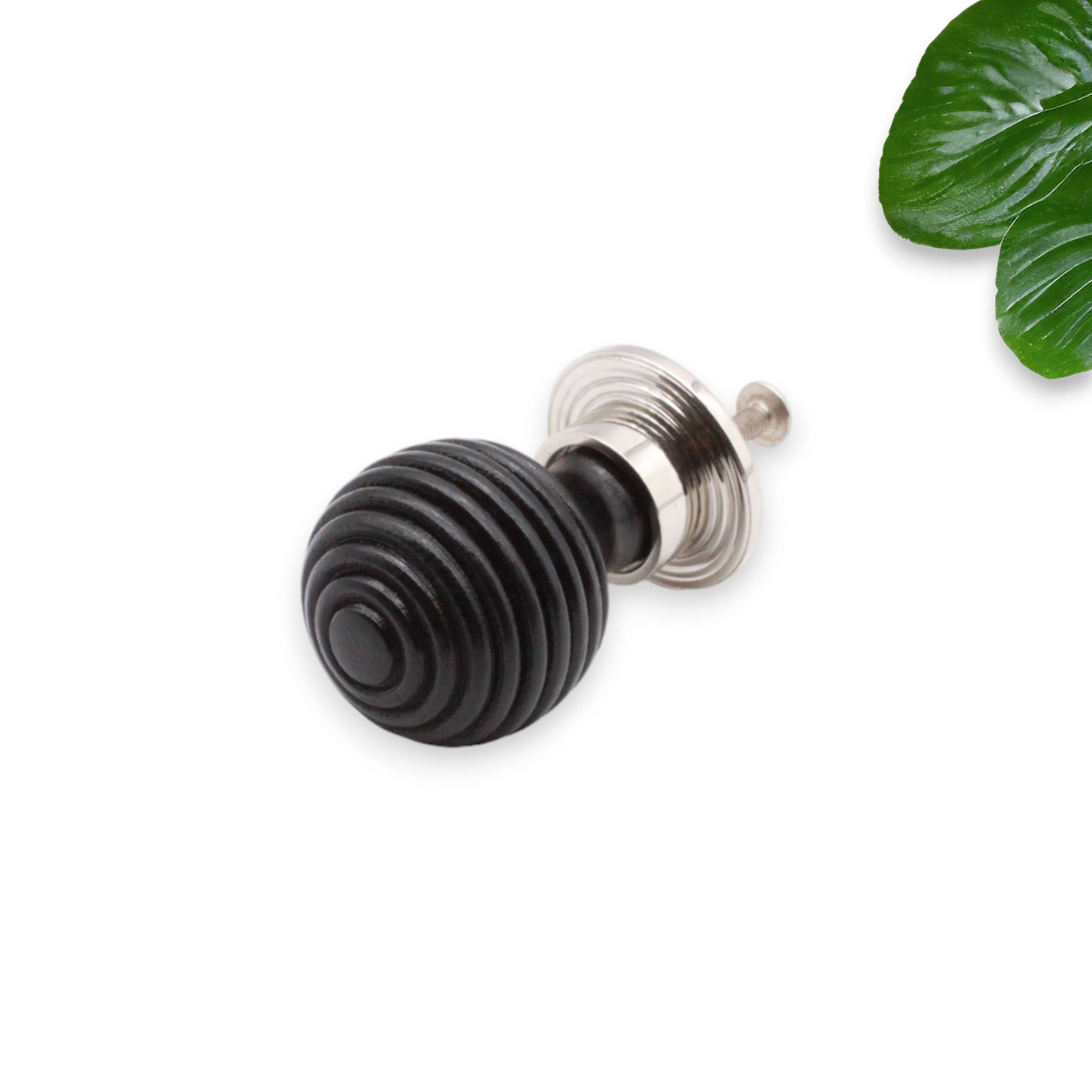 Ebonisierter Preston kleiner Schrankknopf, poliertes Nickel