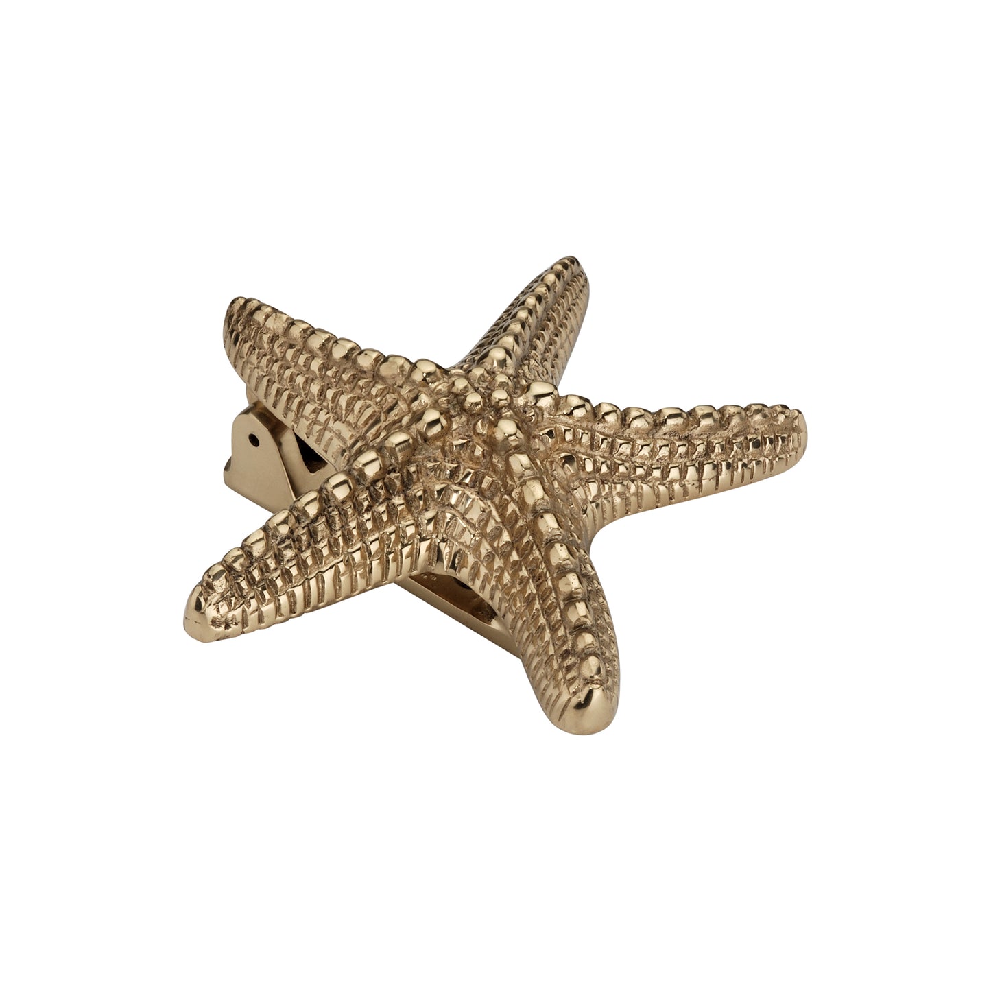Starfish Door Knocker Polished Brass