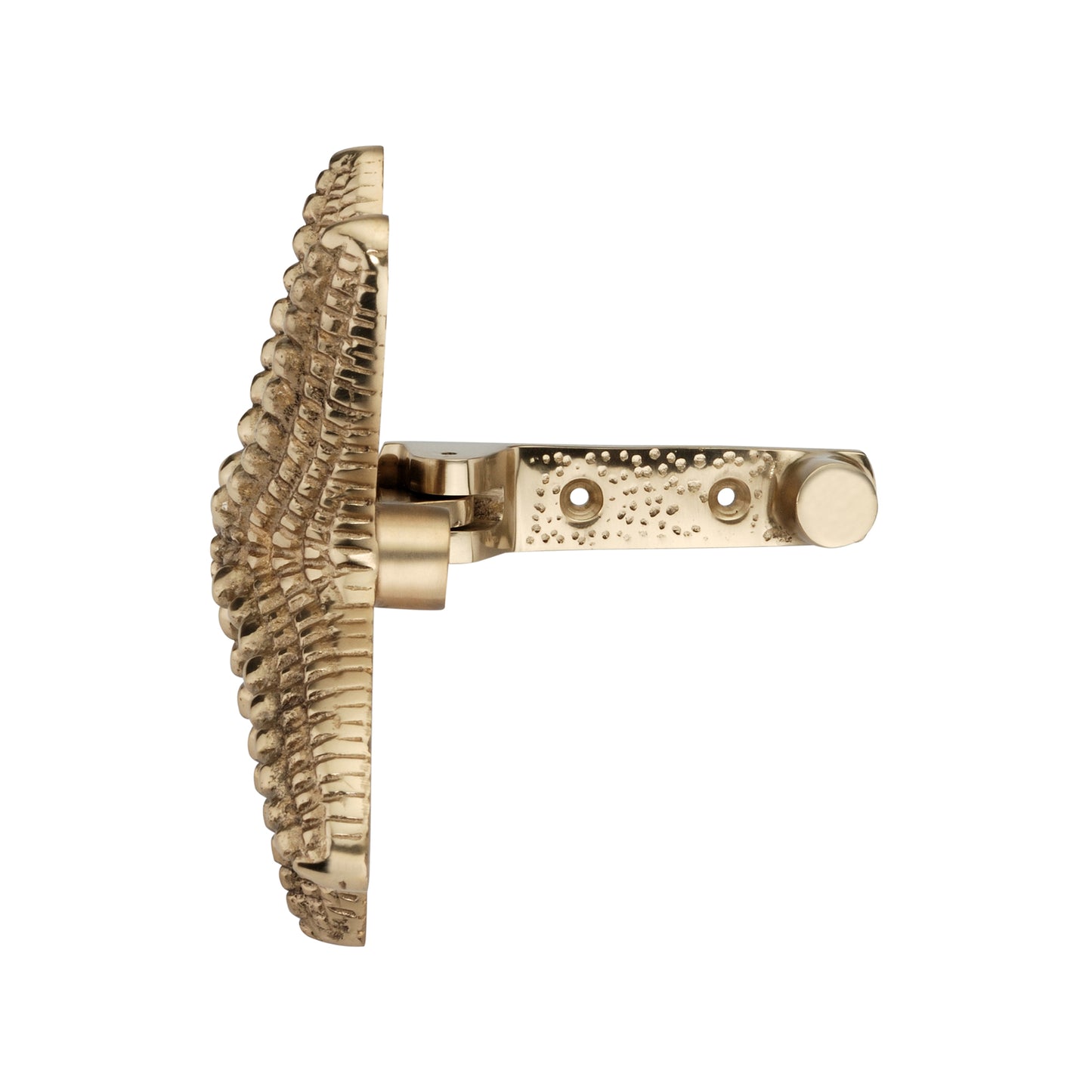 Starfish Door Knocker Polished Brass