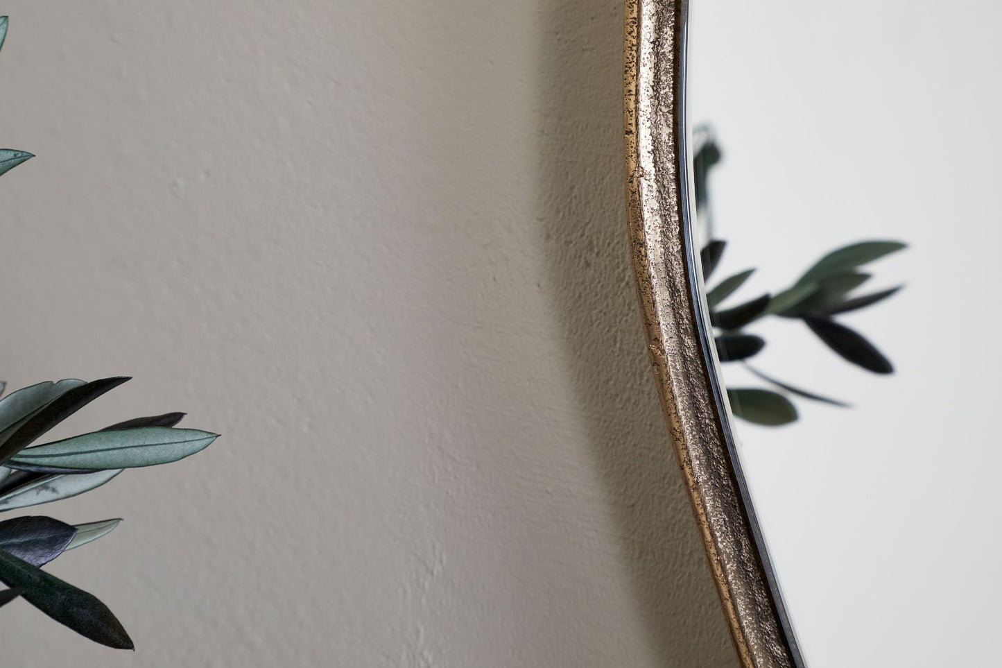 Organic Shape Mirror Home Decor