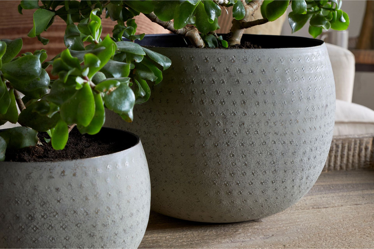 Planter Home Decor