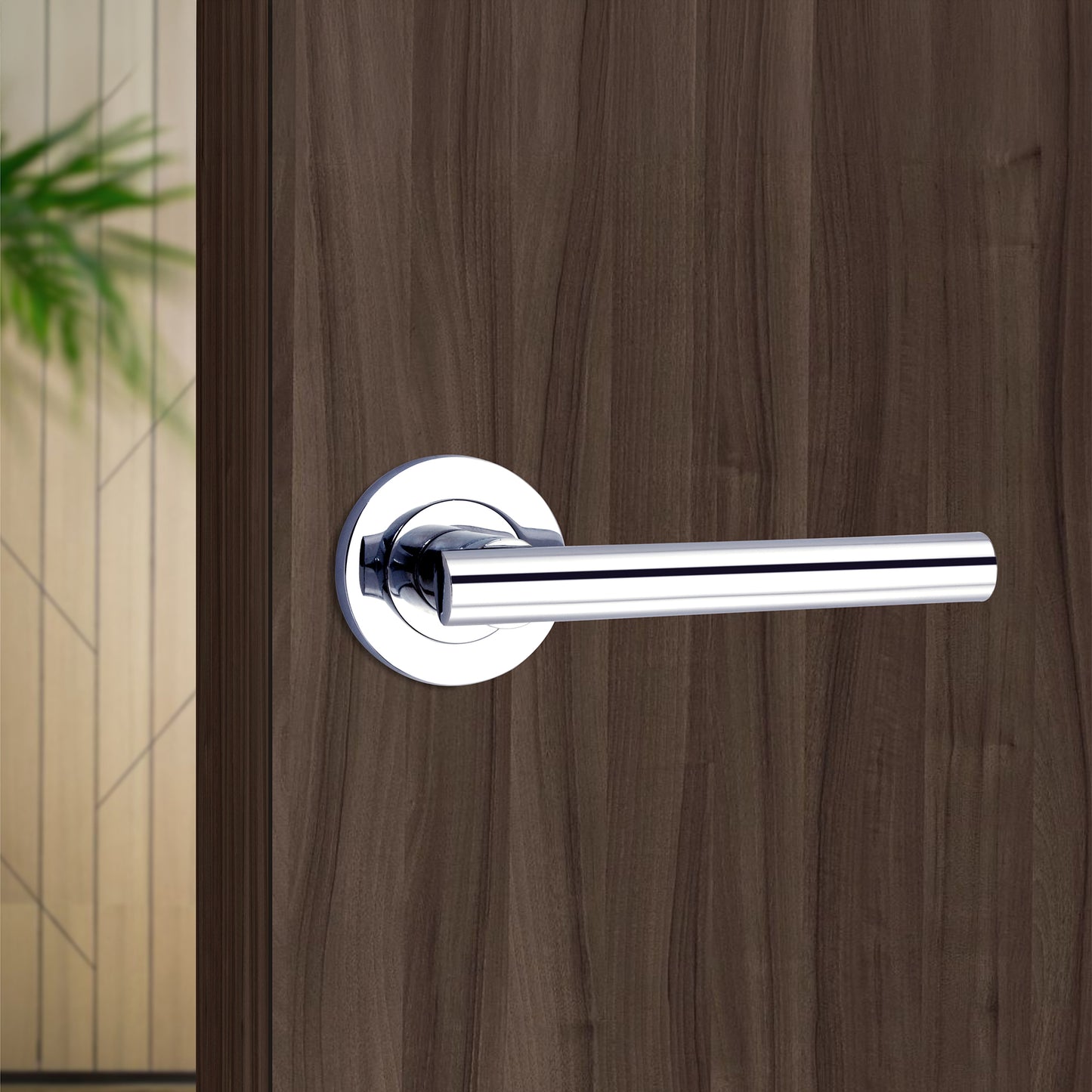 Lever on Rose Door Handle Home Decor