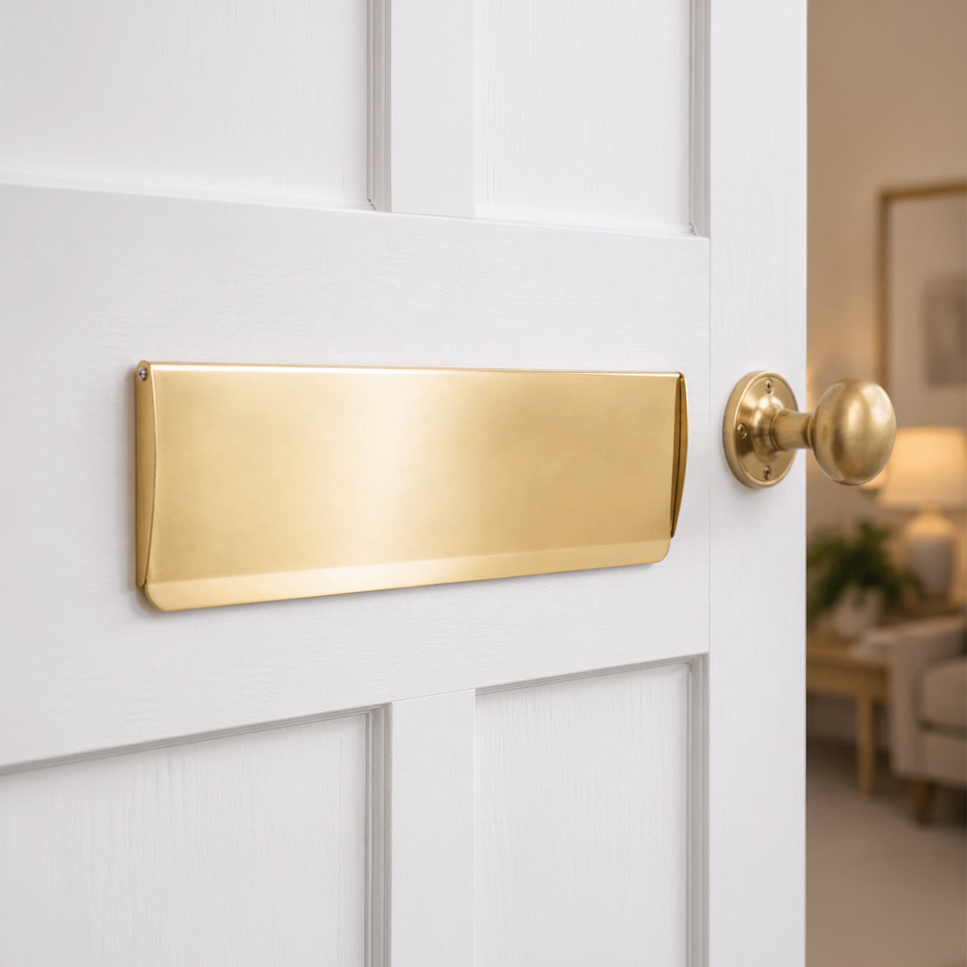 Tidy Flap Letter Plate Cover Polished Brass Home Decor