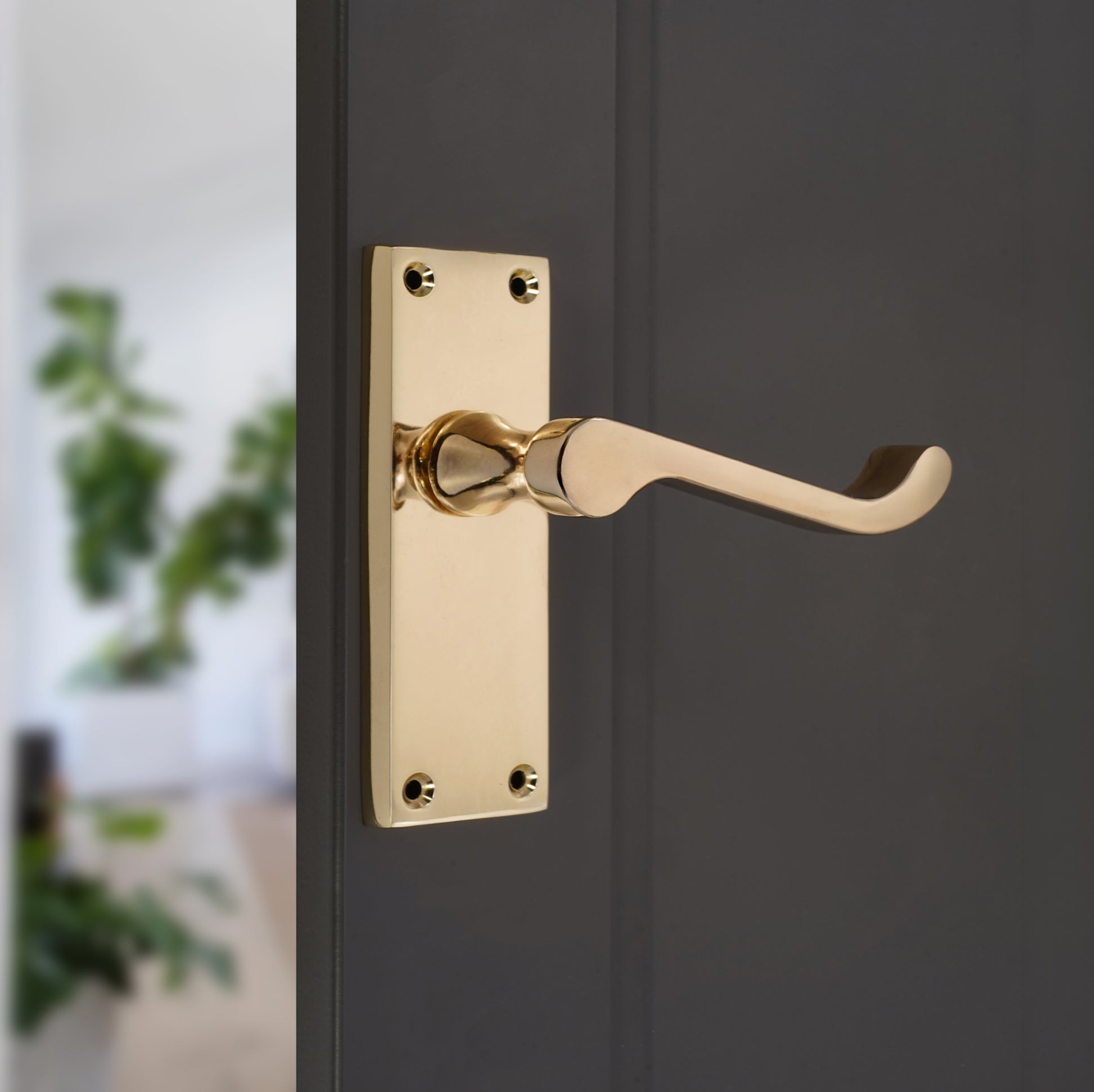 Polished Brass Lever on Backplate Door Handles Home Decor