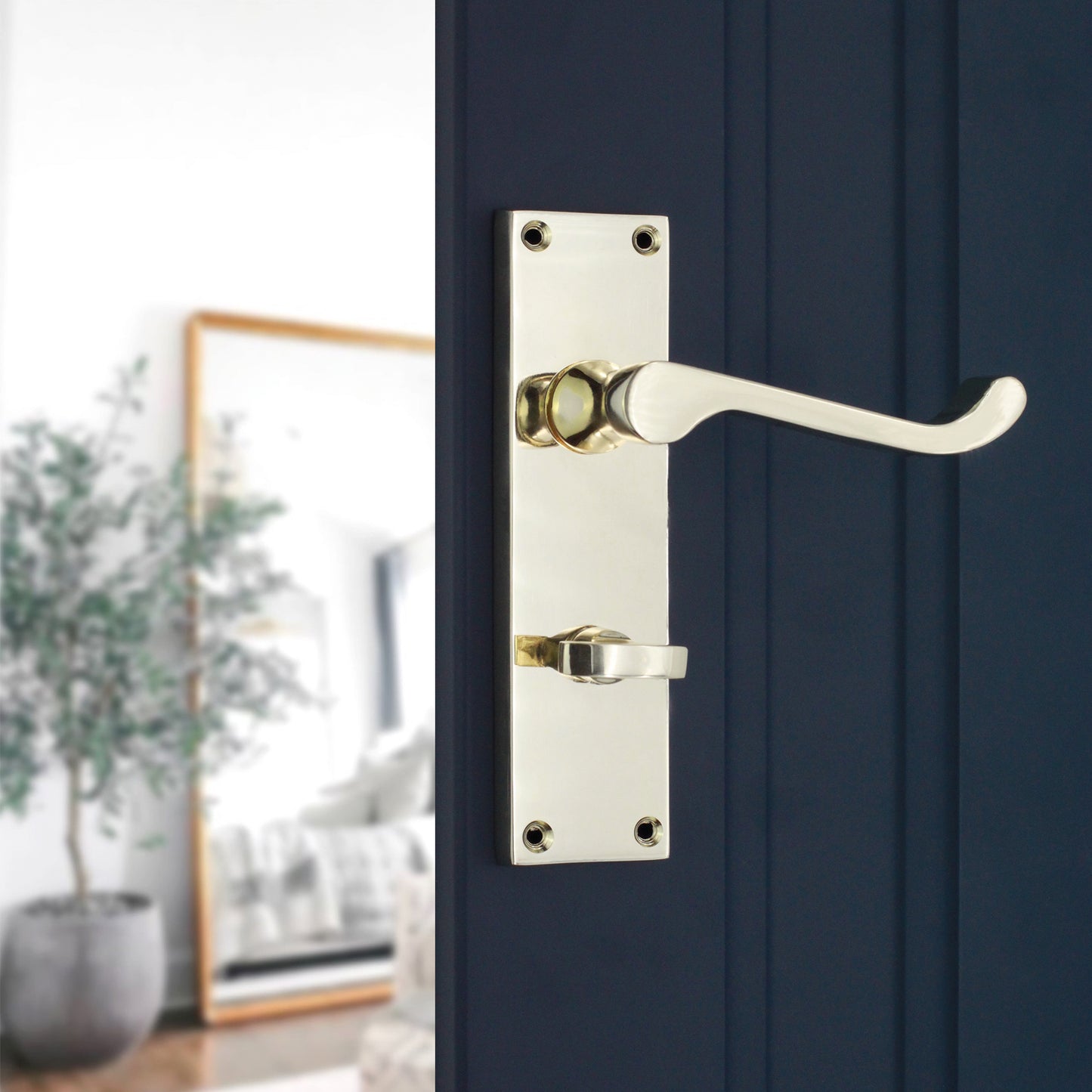 Lever on Backplate Door Handle Home Decor