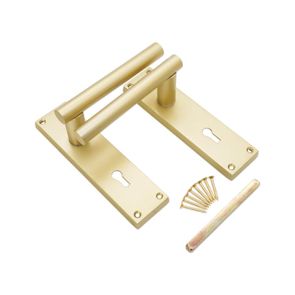 Lever on Backplate Door Handle Home Decor