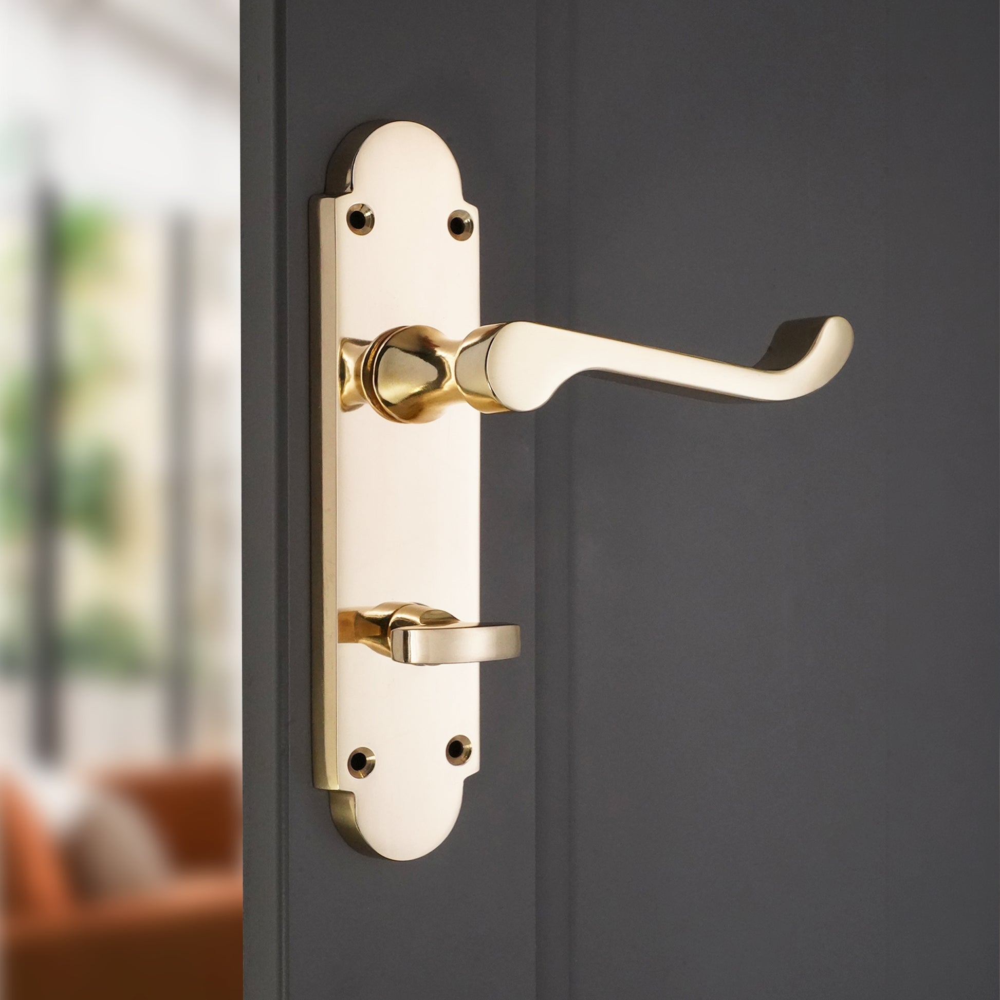 Lever on Backplate Door Handle Home Decor