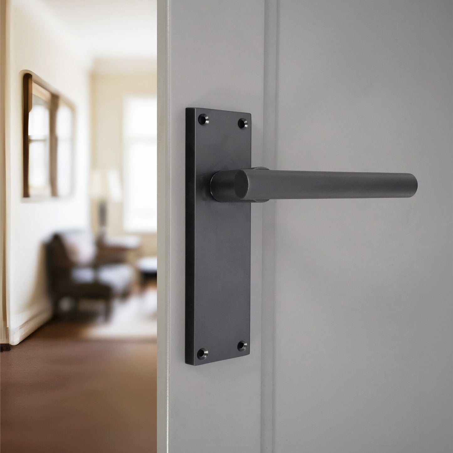 Lever on Backplate Door Handle Home Decor