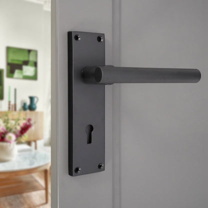Lever on Backplate Door Handle Home Decor