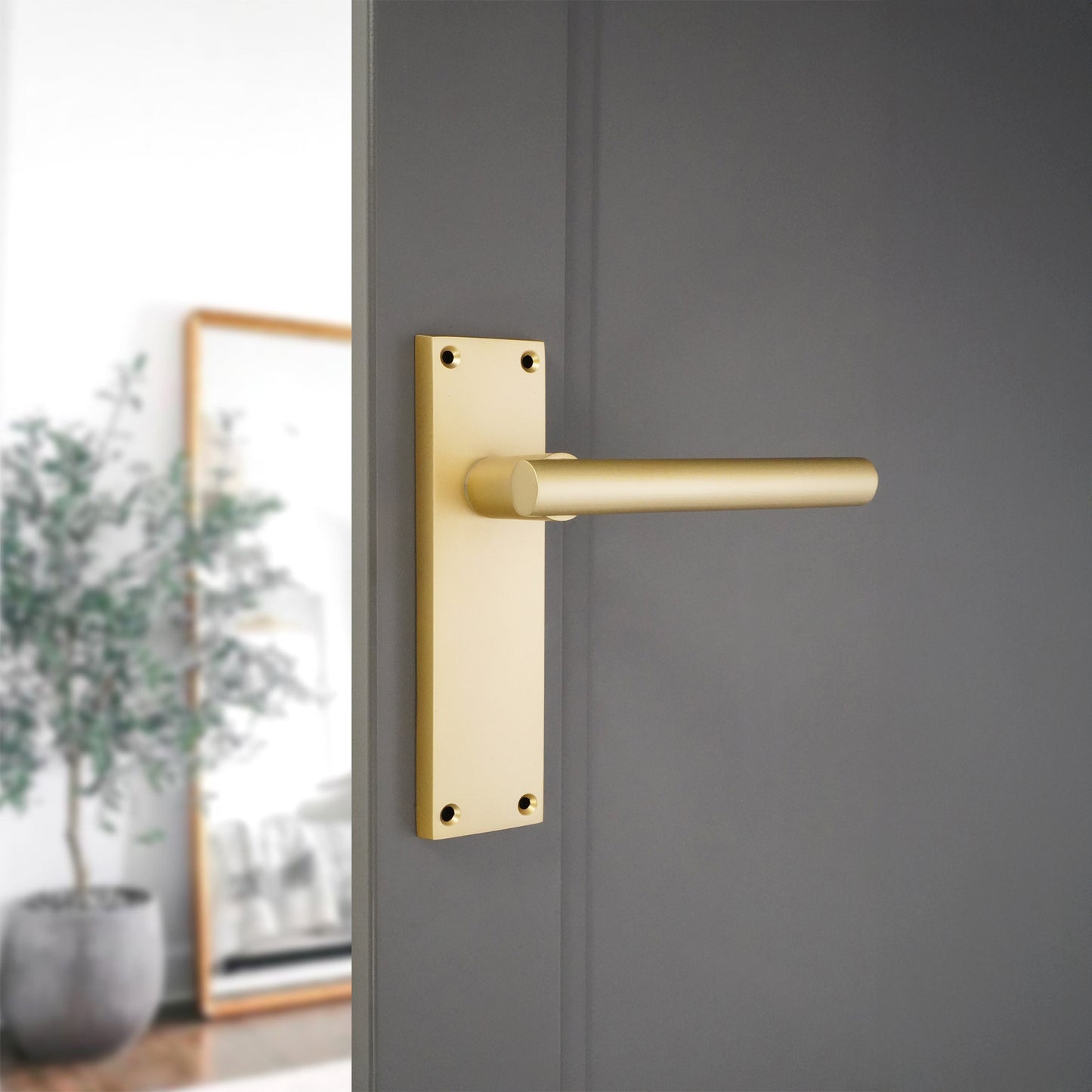Lever on Backplate Door Handle Home Decor