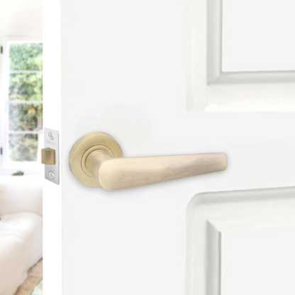 Lever on Rose Door Handle Home Decor