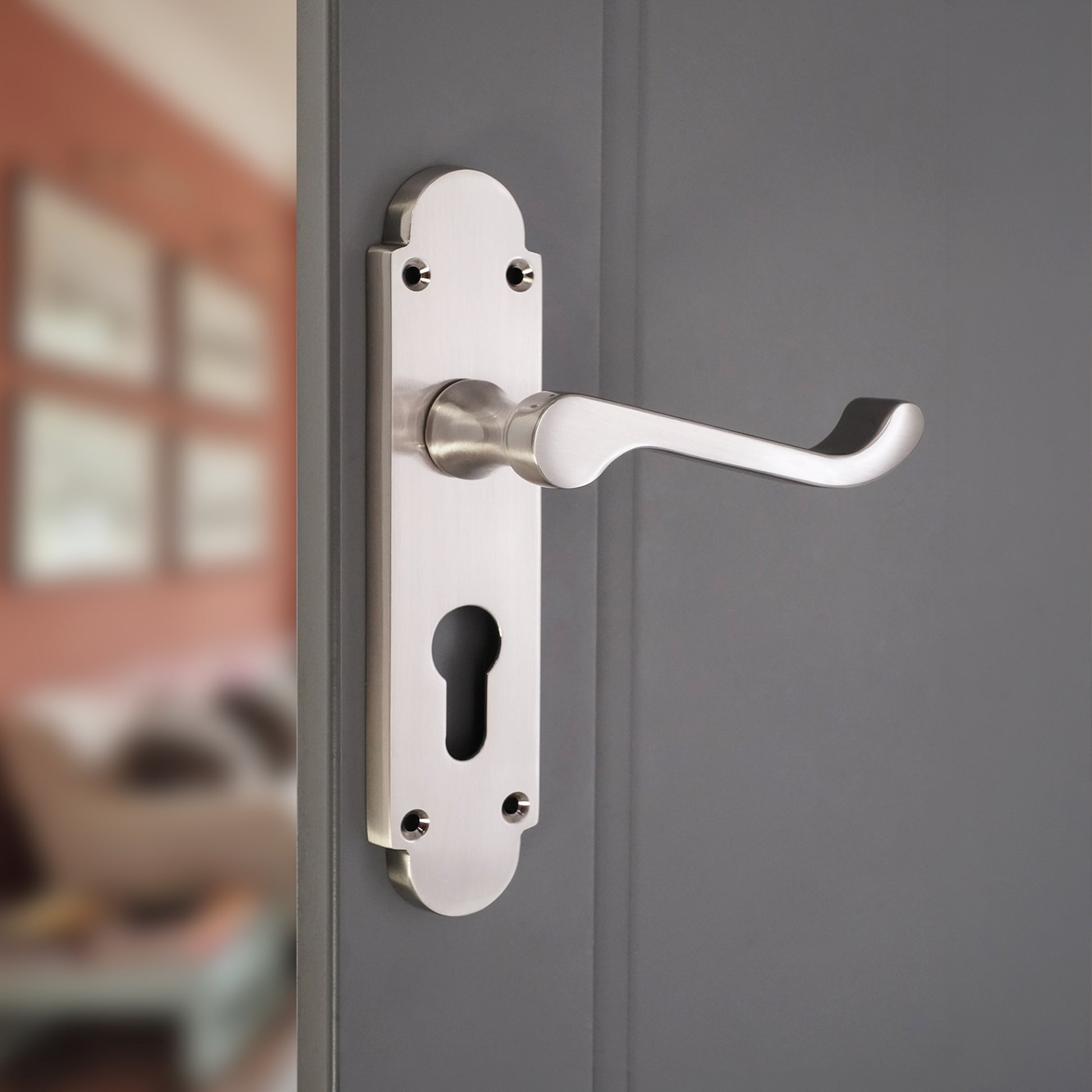 Satin Nickel Lever on Backplate Euro Home Decor  