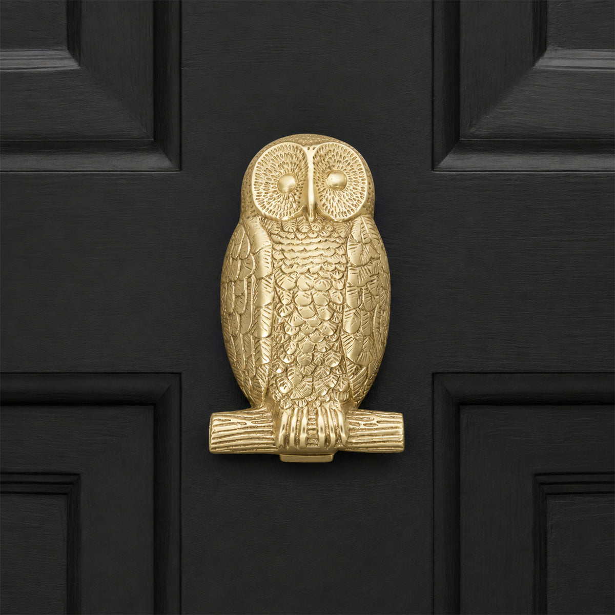 Satin Brass Owl Door Knocker Home Decor