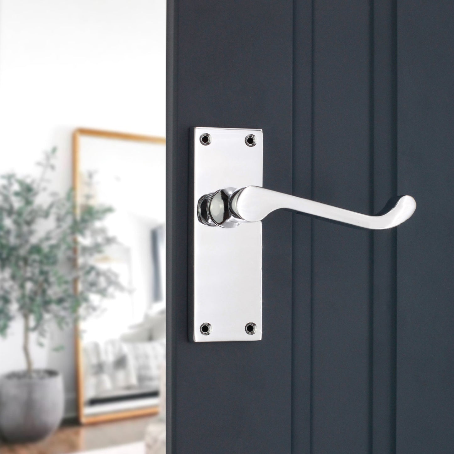 Lever on Backplate Door Handle Home Decor