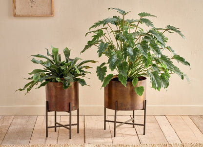 Iron Planter Home Decor