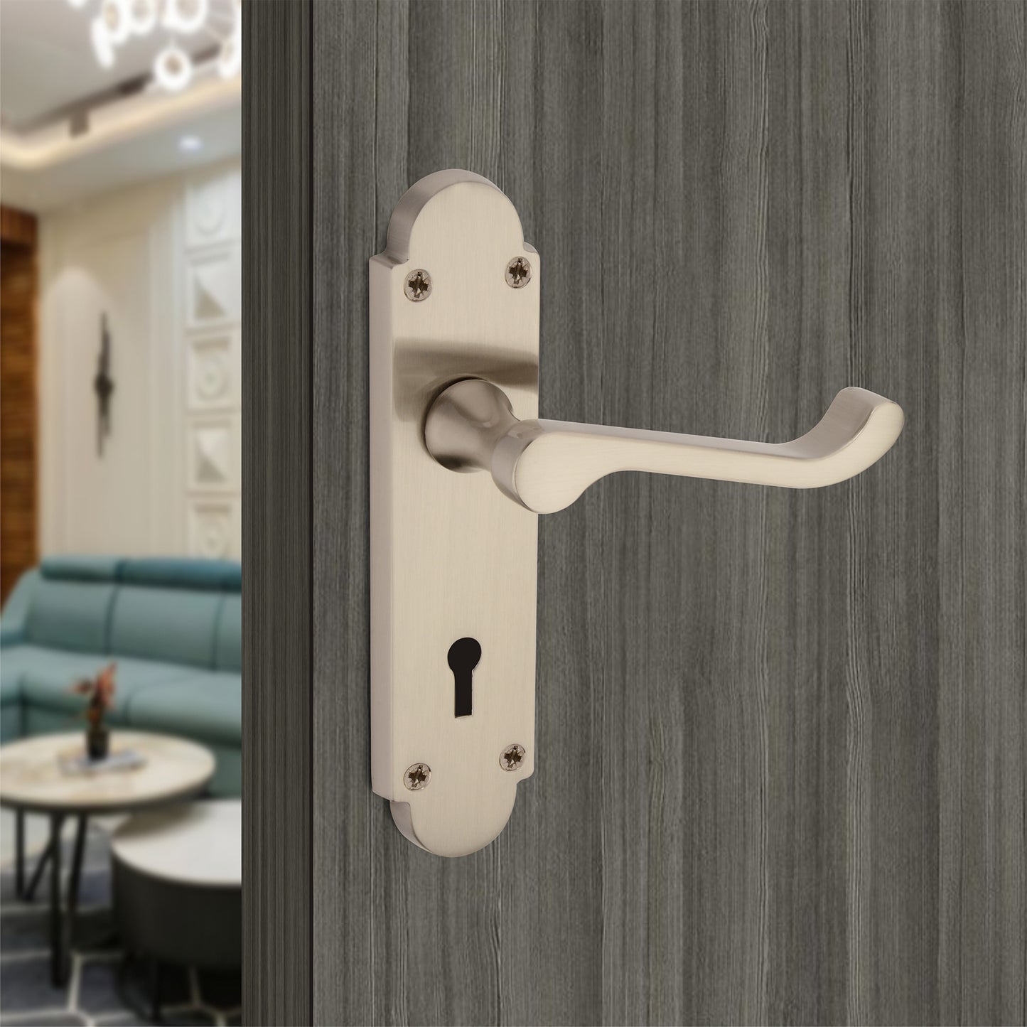 Satin Nickel Lever on Backplate Lock Door Handle Home Decor  