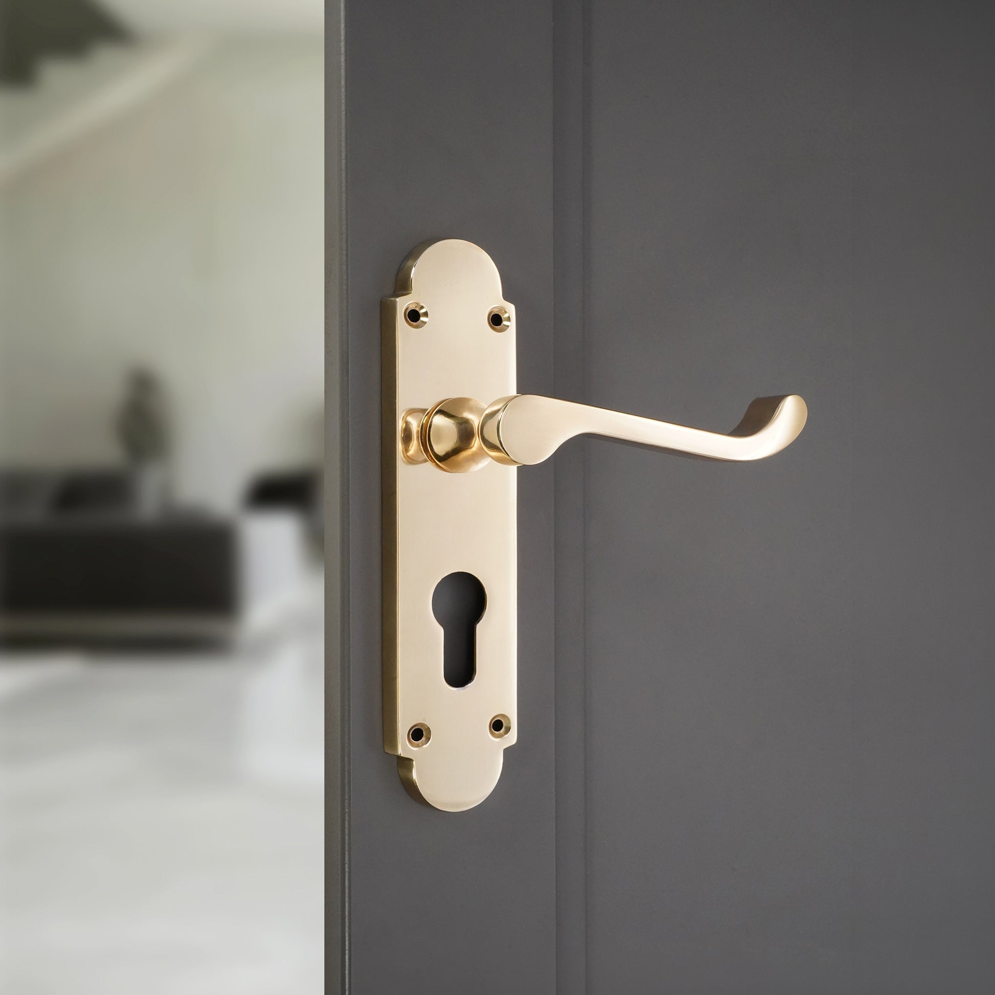 Polished Brass Lever on Backplate Euro Home Decor 