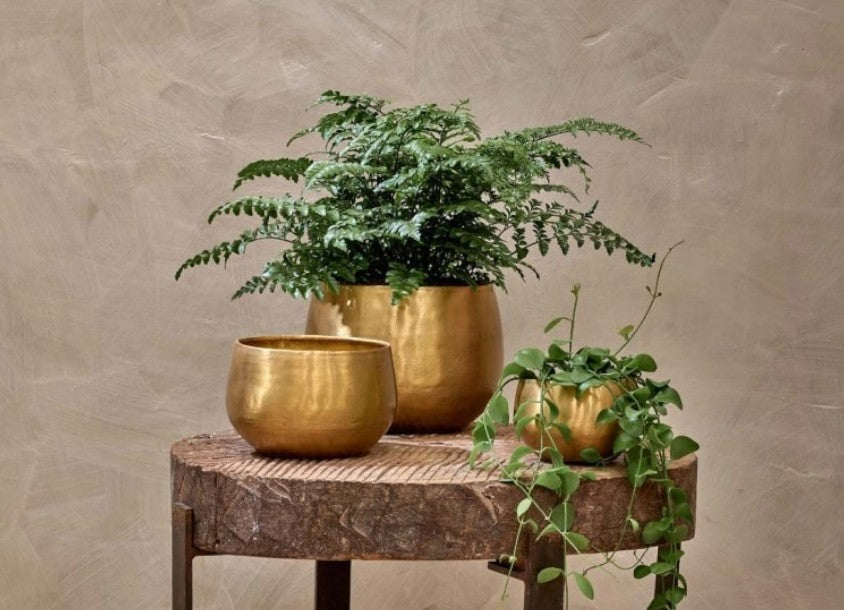 Atsu Brass Planter