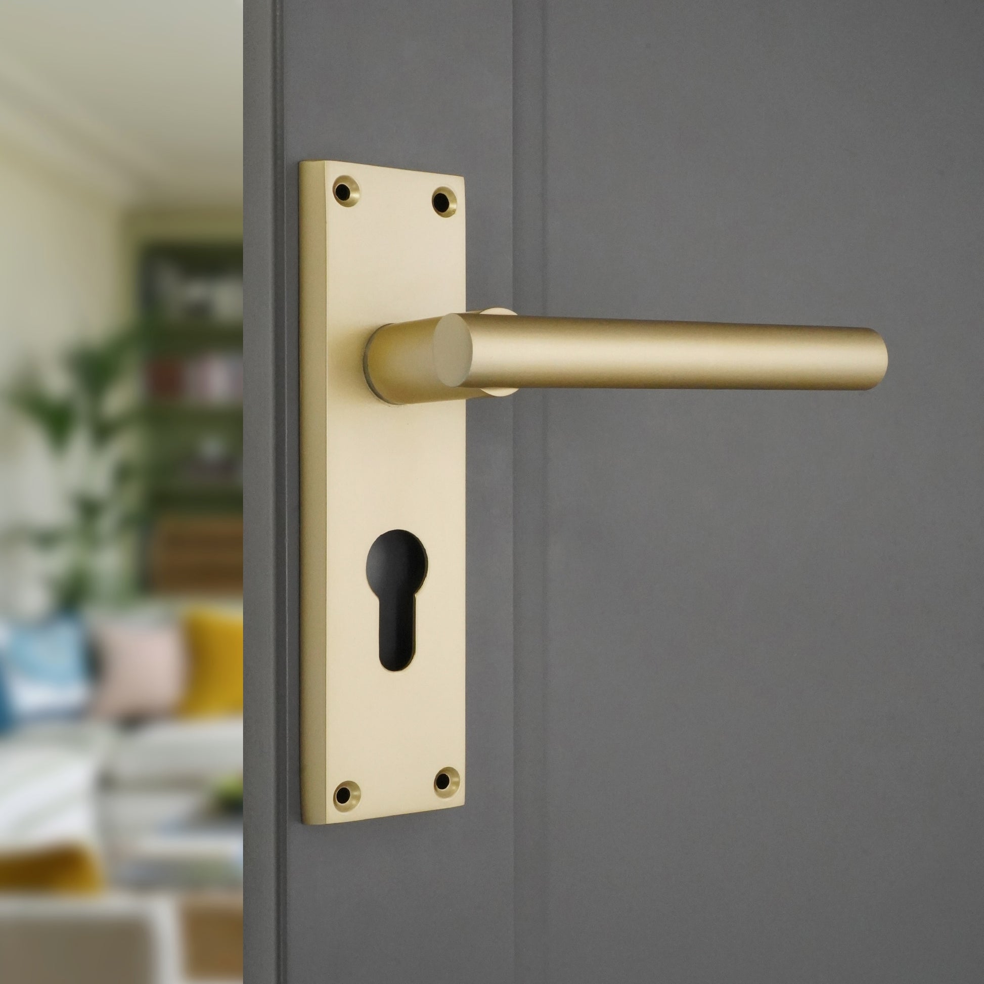 Satin Brass Lever on Backplate Euro Home Decor  