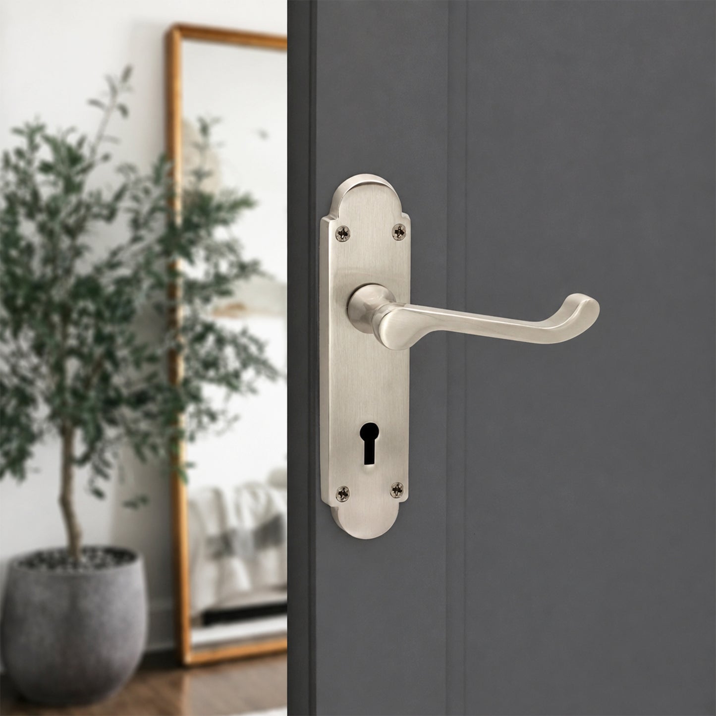 Satin Nickel Lever on Backplate Lock Door Handle Home Decor  