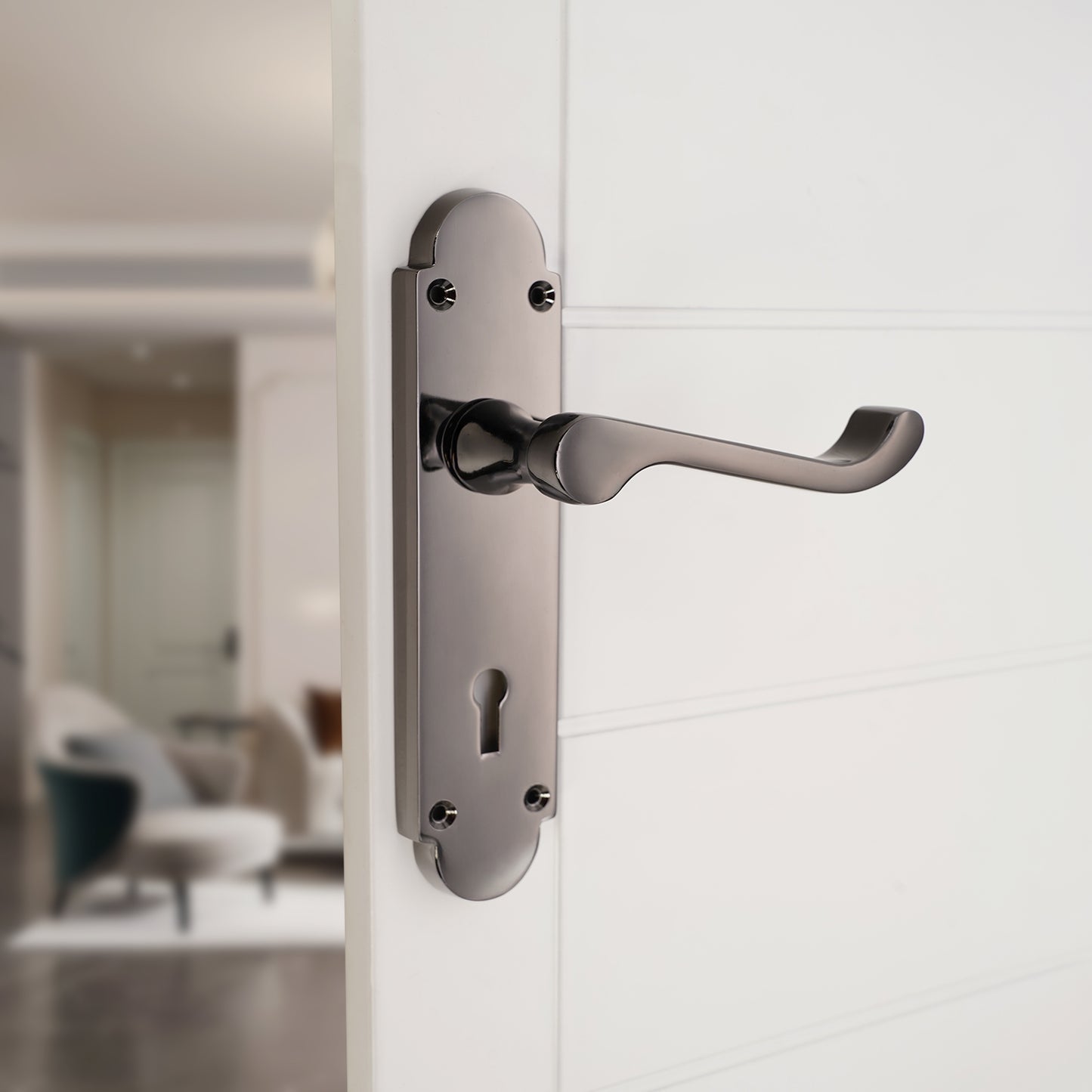 Lever on Backplate Door Handle Home Decor