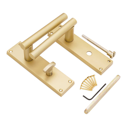Lever on Backplate Door Handle Home Decor