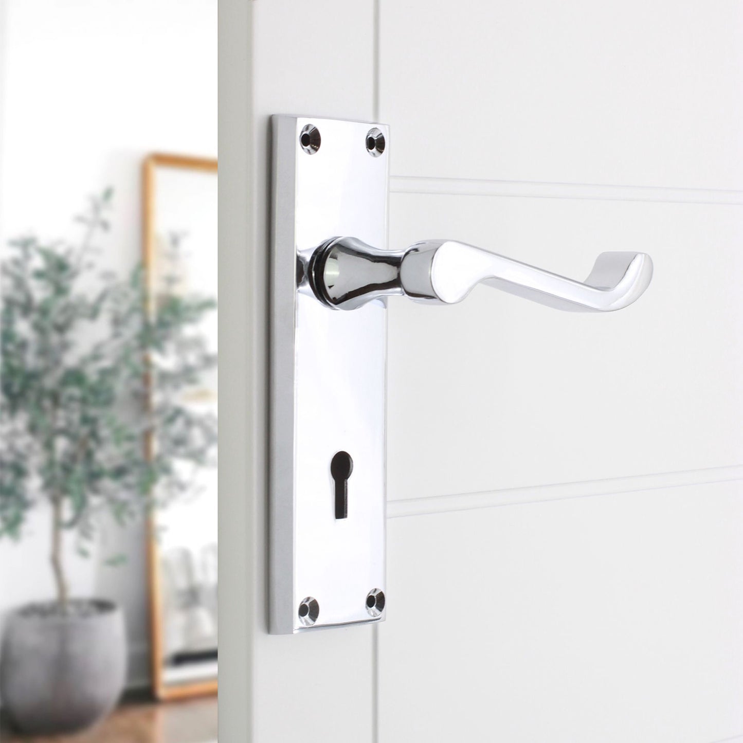 Lever on Backplate Door Handle Home Decor