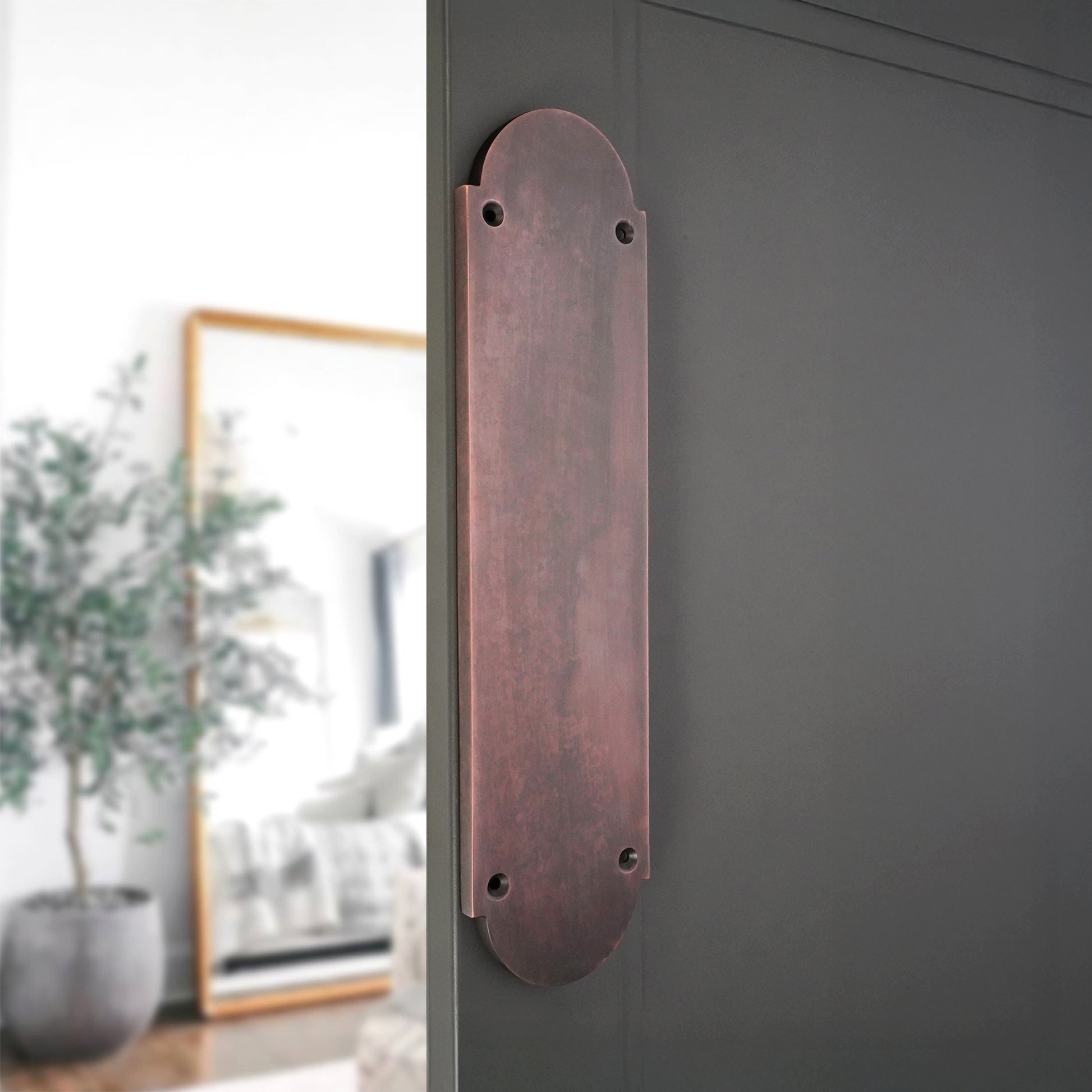 Victorian Door Finger Plate Aged Bronze Home Decor