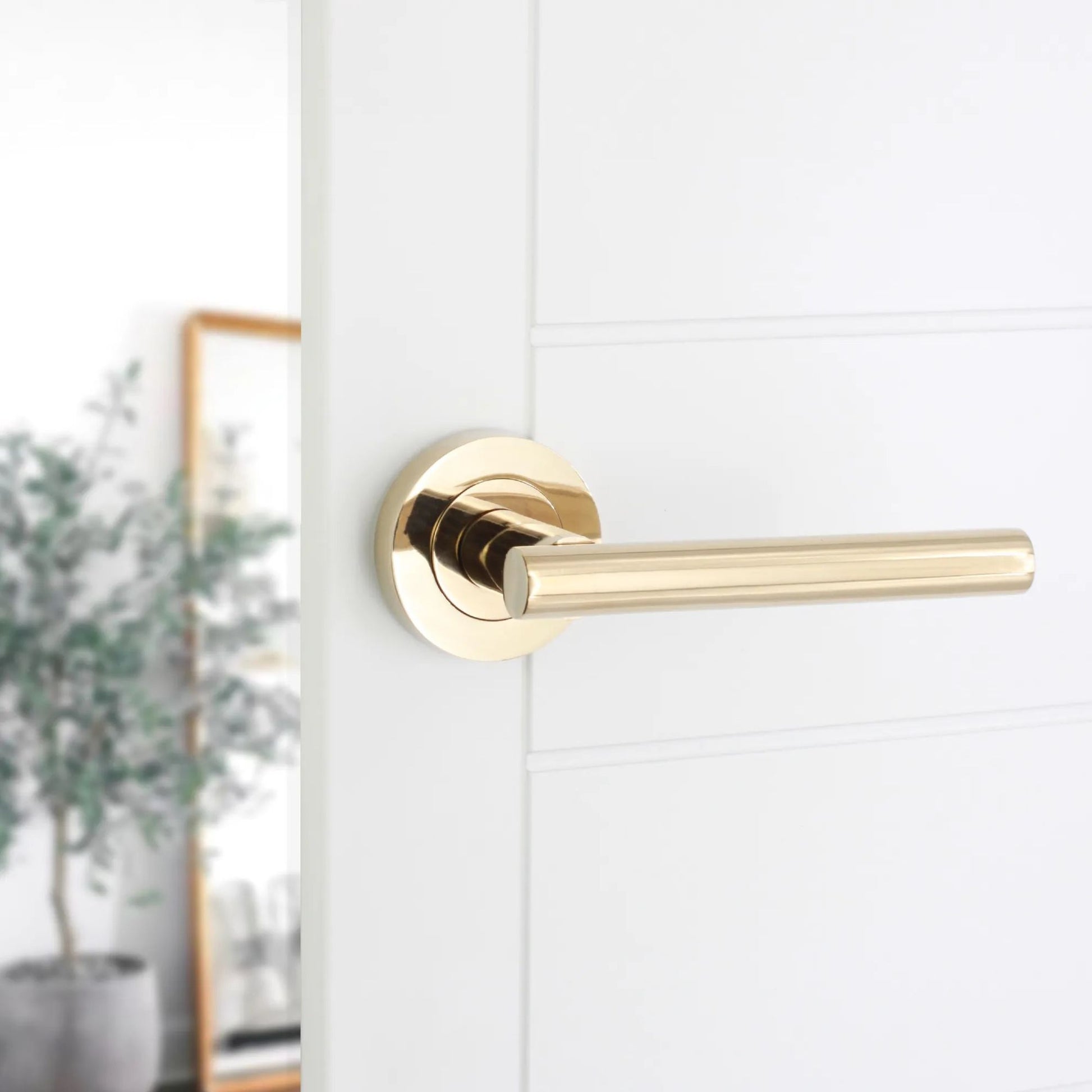 Lever on Rose Door Handle Home Decor