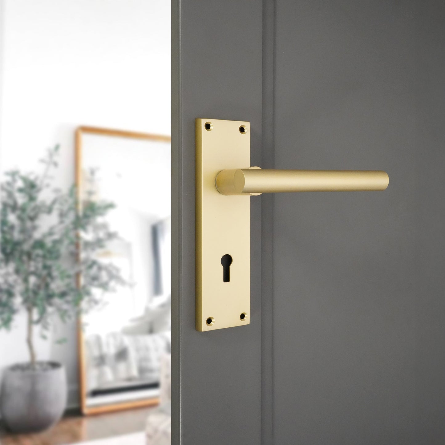Lever on Backplate Door Handle Home Decor