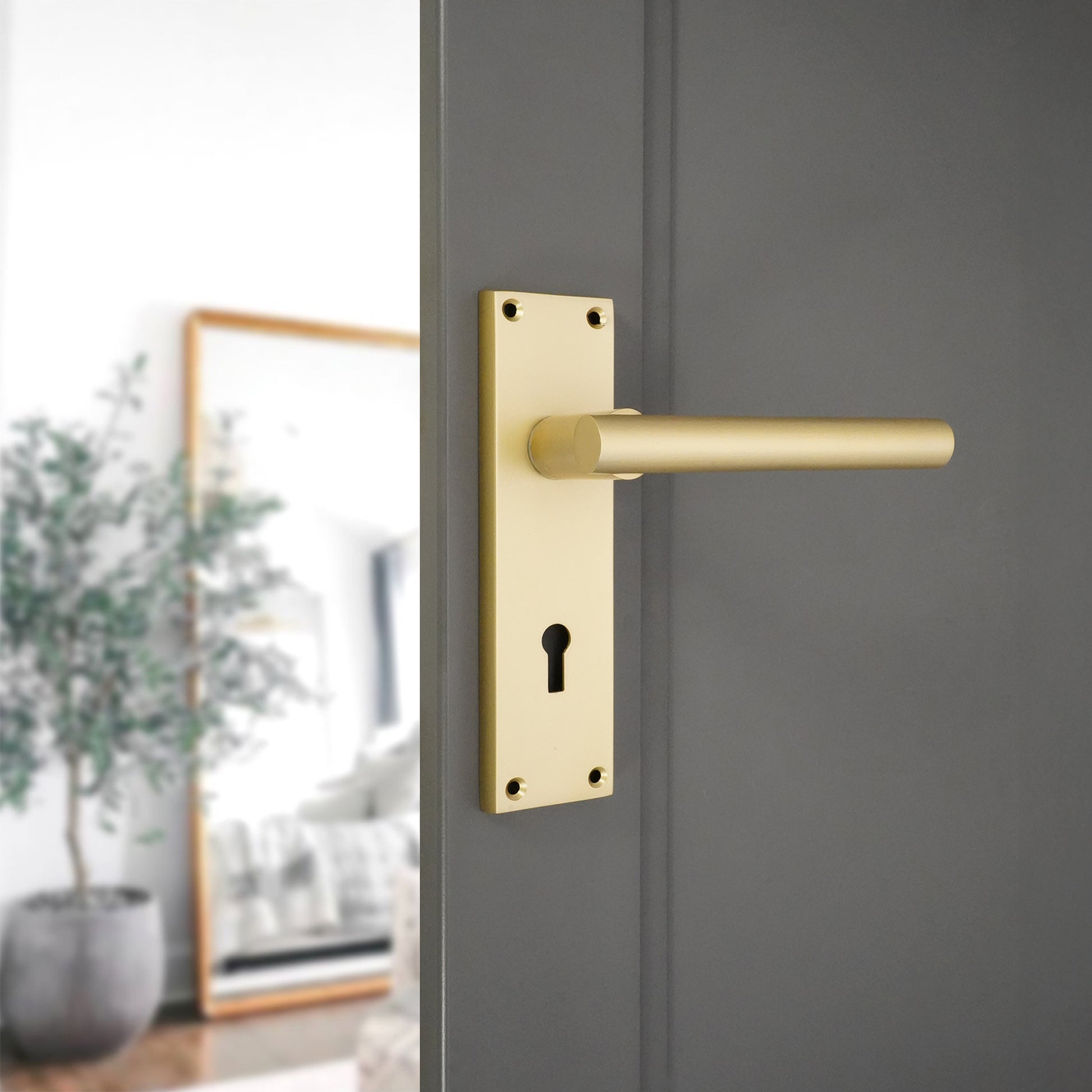 Lever on Backplate Door Handle Home Decor
