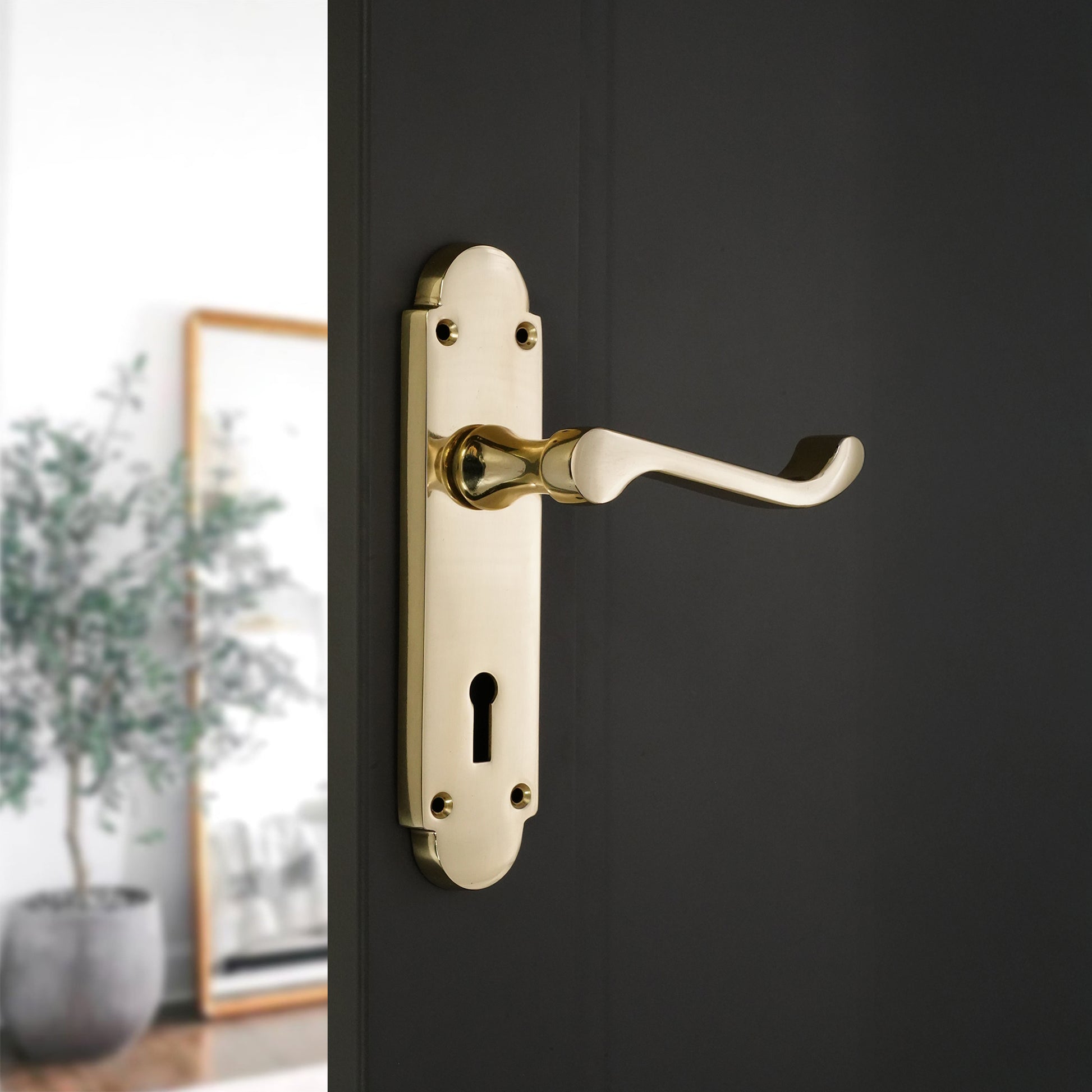 Lever on Backplate Door Handle Home Decor