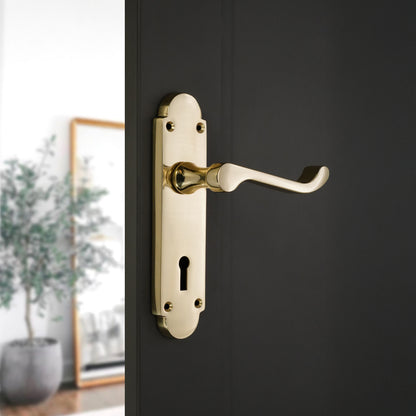 Lever on Backplate Door Handle Home Decor