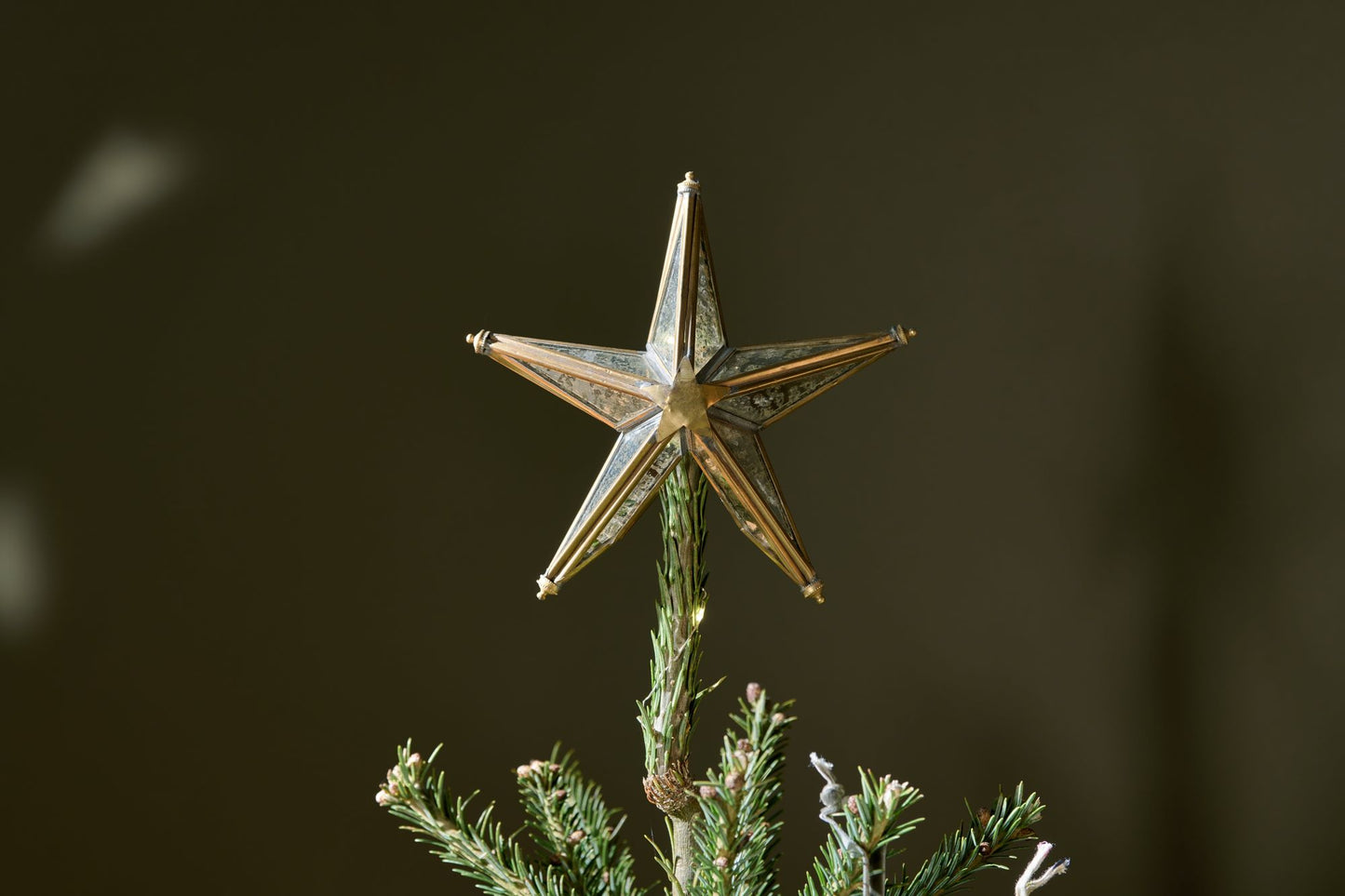 Bakara Star Tree Topper