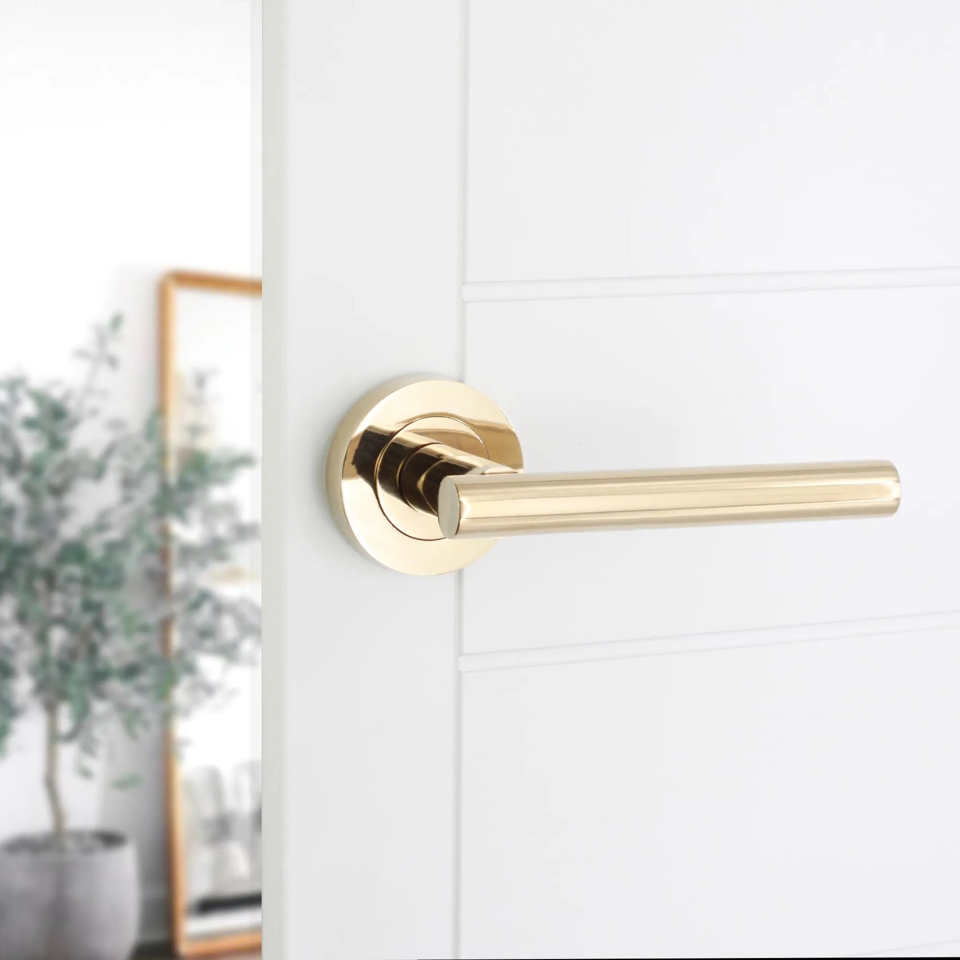 Lever on Rose Door Handle Home Decor