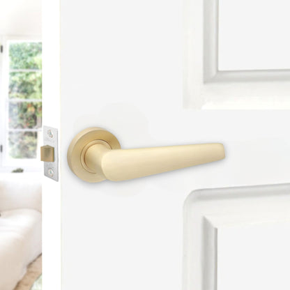 Lever on Rose Door Handle Home Decor