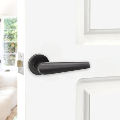 Lever on Rose Door Handle Home Decor