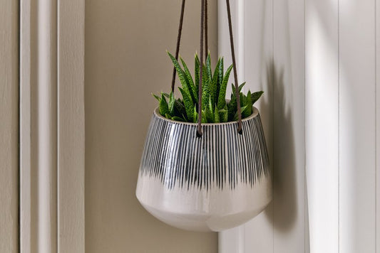 Hanging Planters Home Decor 